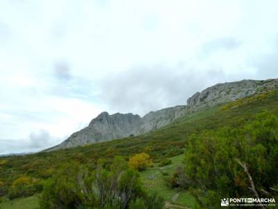 Montaña Palentina;Fuente Cobre;Tosande; lavanda brihuega ulaca manchuela ruta del rio borosa